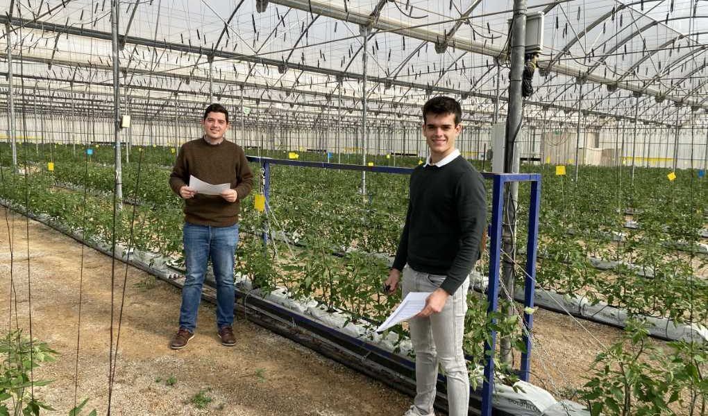 estudiantes uptc big data tomate