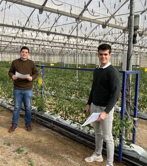 estudiantes uptc big data tomate