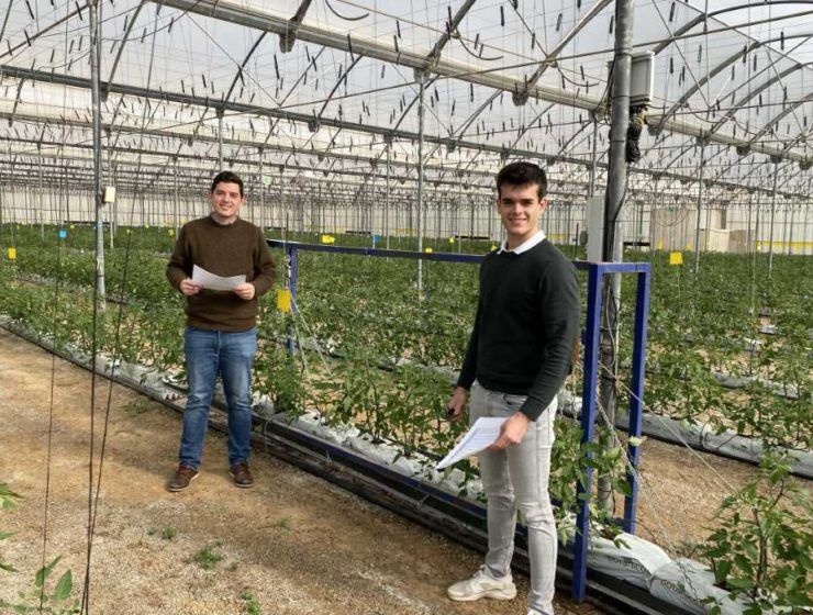 estudiantes uptc big data tomate