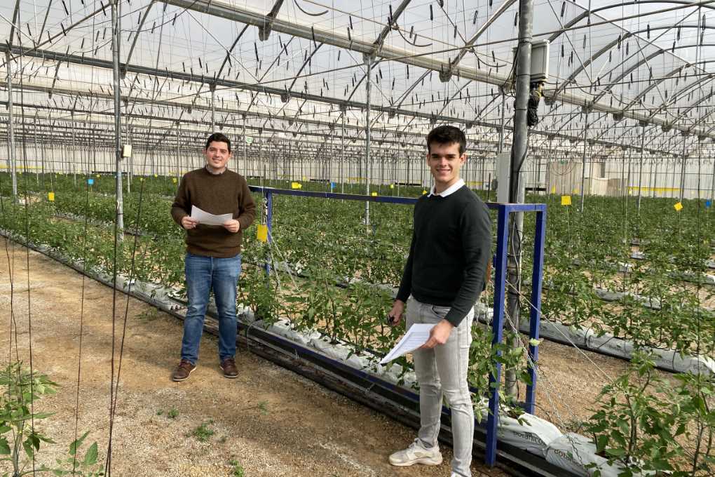 estudiantes uptc big data tomate