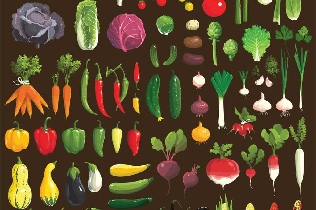 frutas y verduras