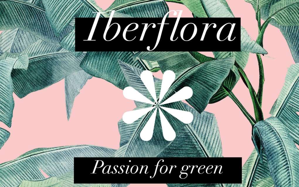 iberflora