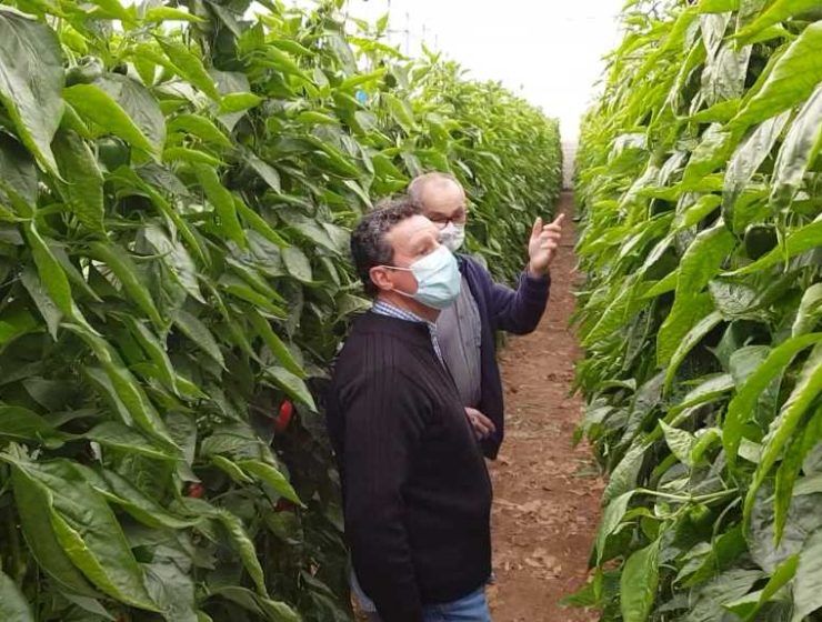 tecnico y agricultur acrena OK
