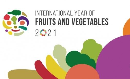 Año internacional de FyV