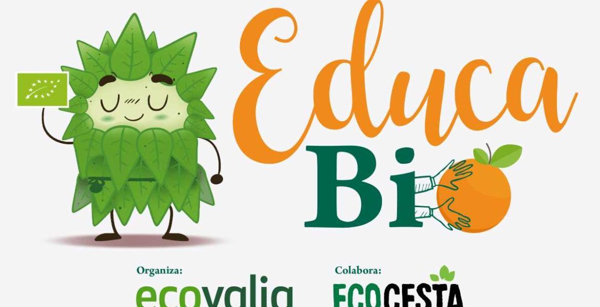 Educavio programa escolar