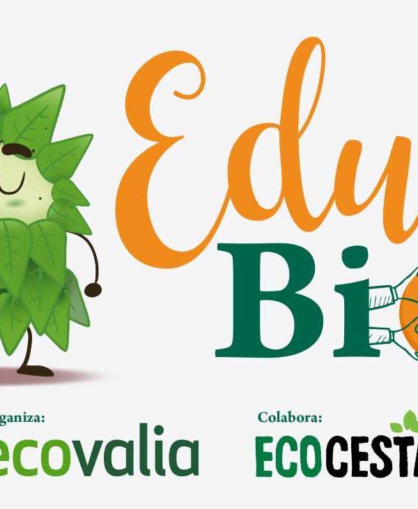 Educavio programa escolar
