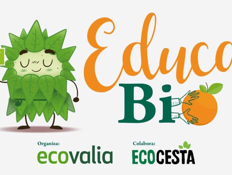 Educavio programa escolar