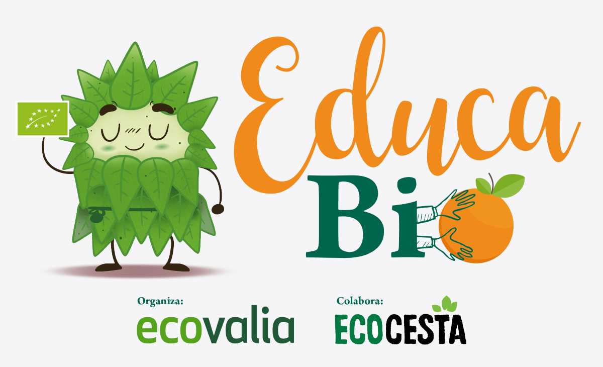 Educavio programa escolar