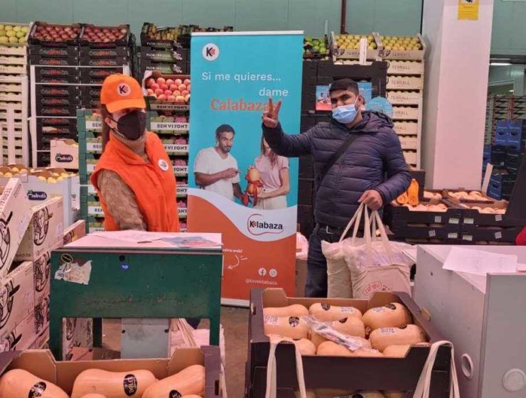 Mercabarna calabaza