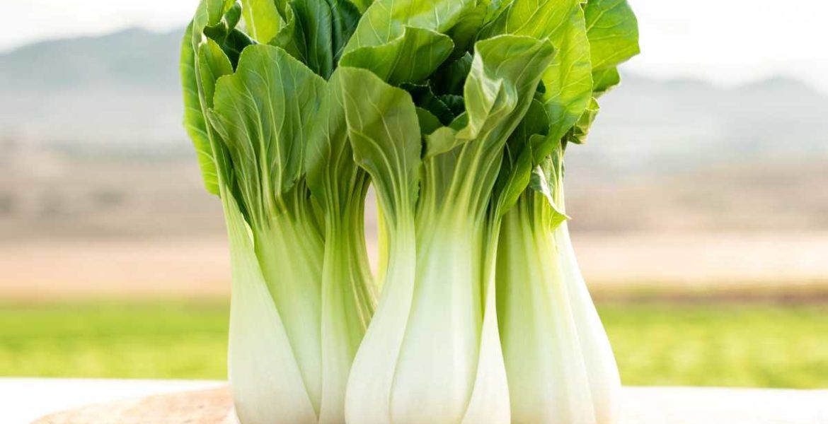 Pak Choi