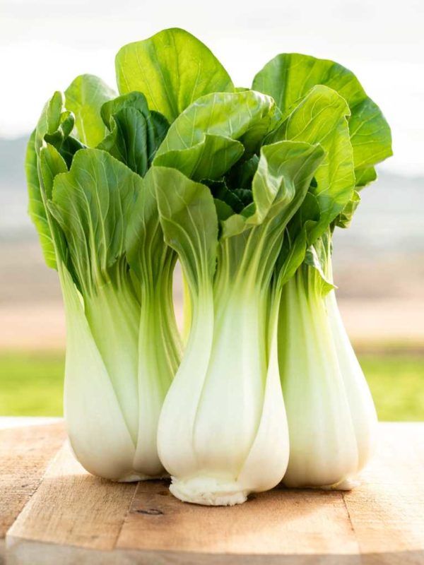 Pak Choi