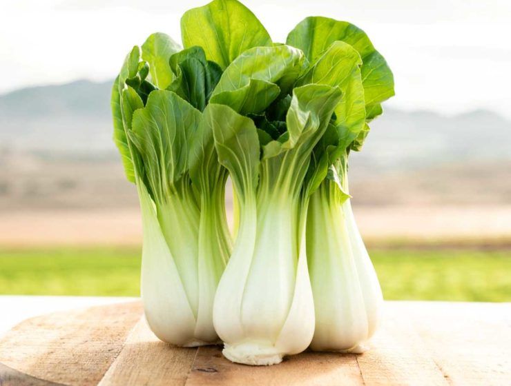 Pak Choi