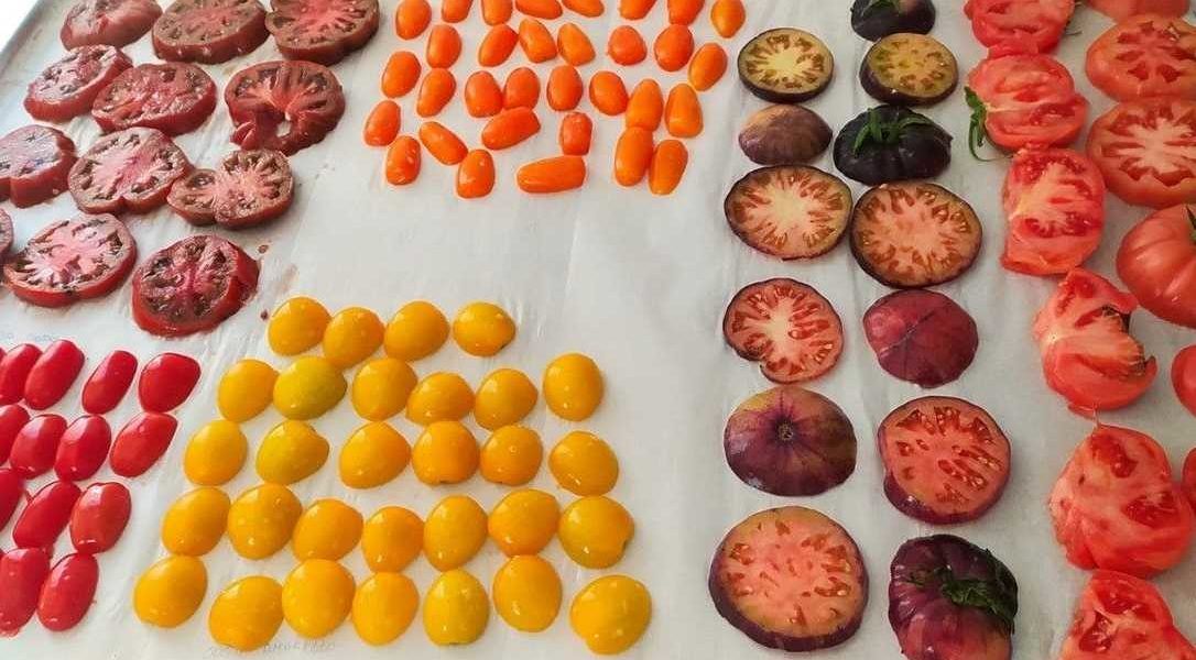 agroalimentos