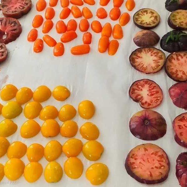 agroalimentos