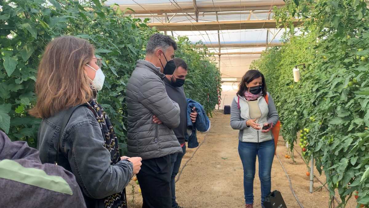 curso smart agrihub