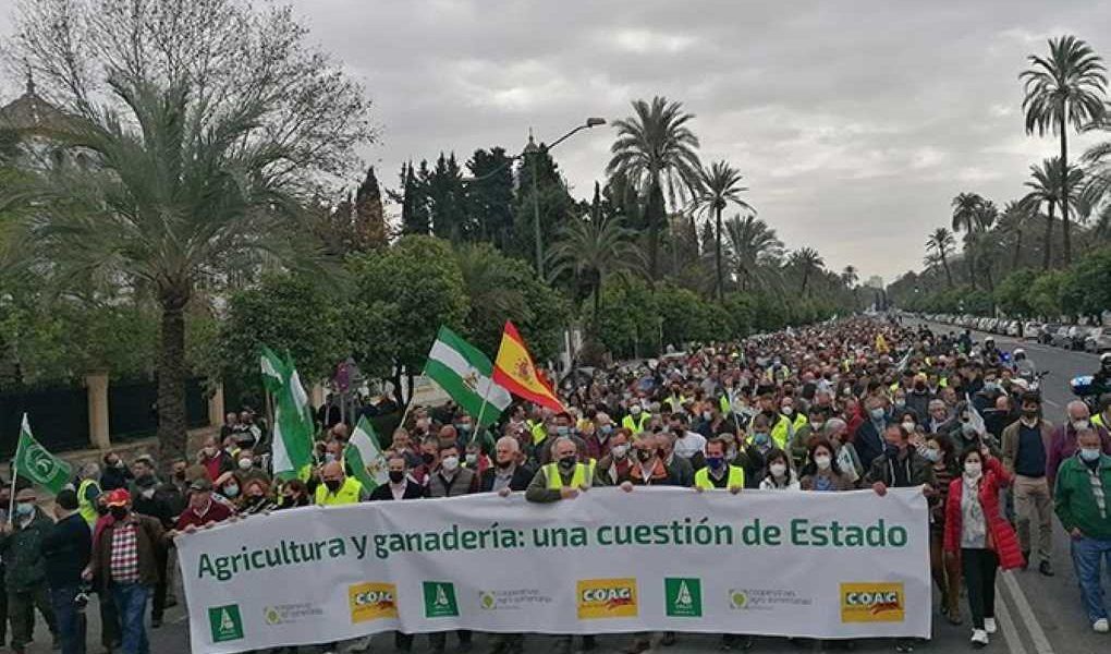 manifestación Andalucía