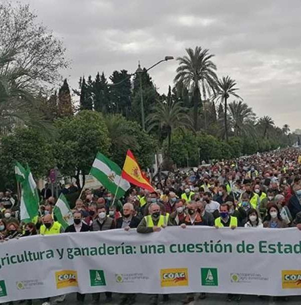 manifestación Andalucía