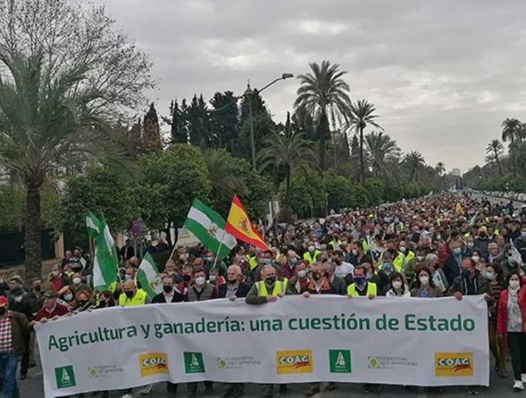 manifestación Andalucía