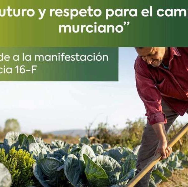 manifestación Murcia