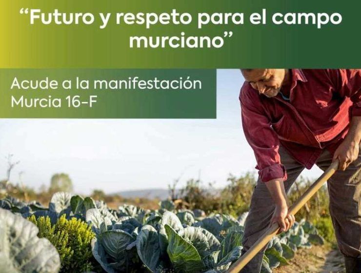 manifestación Murcia
