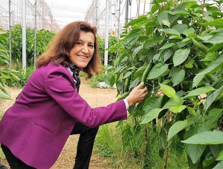 maria jose sanchez Fruit Attraction
