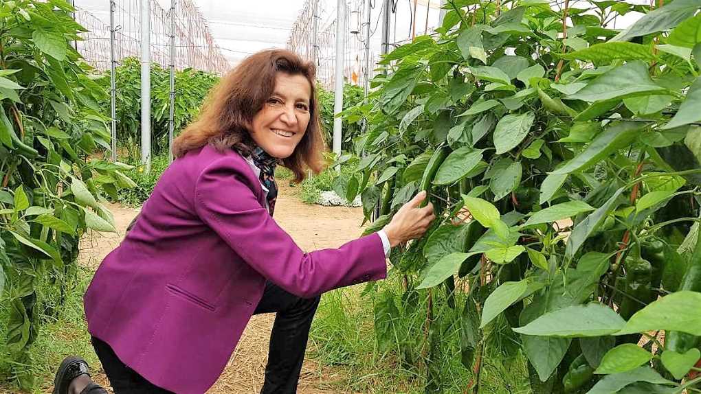 maria jose sanchez Fruit Attraction
