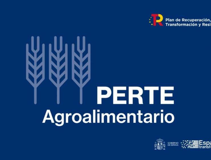 perte