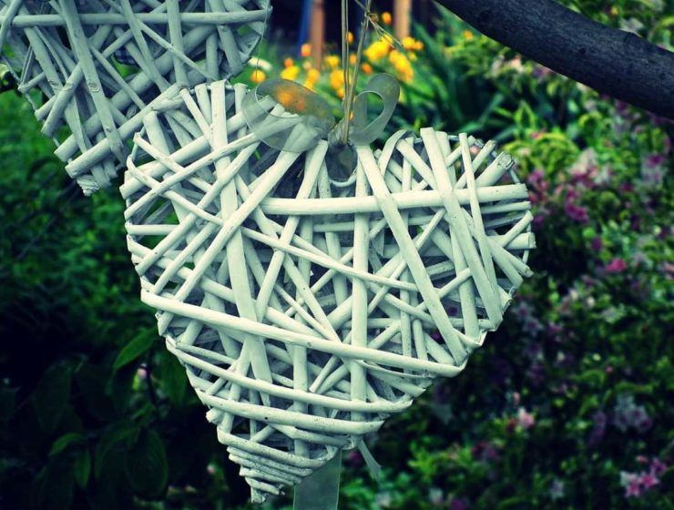 plantas san valentín