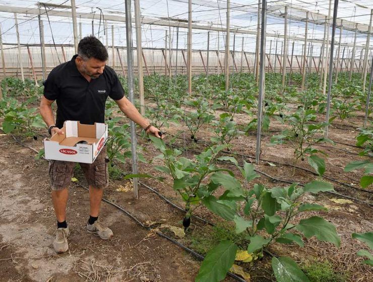 agricultor vicasol