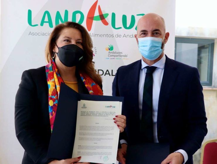 Landaluz