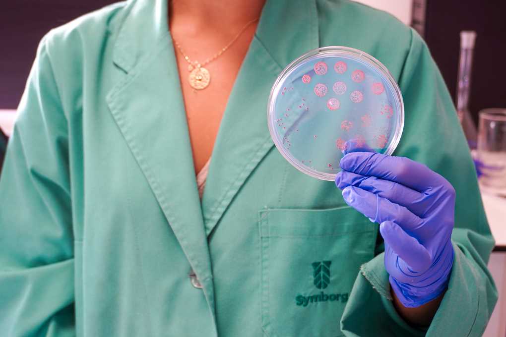 Symborg Biotecnología