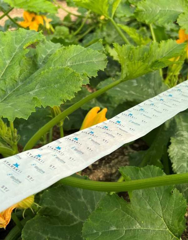 bugline