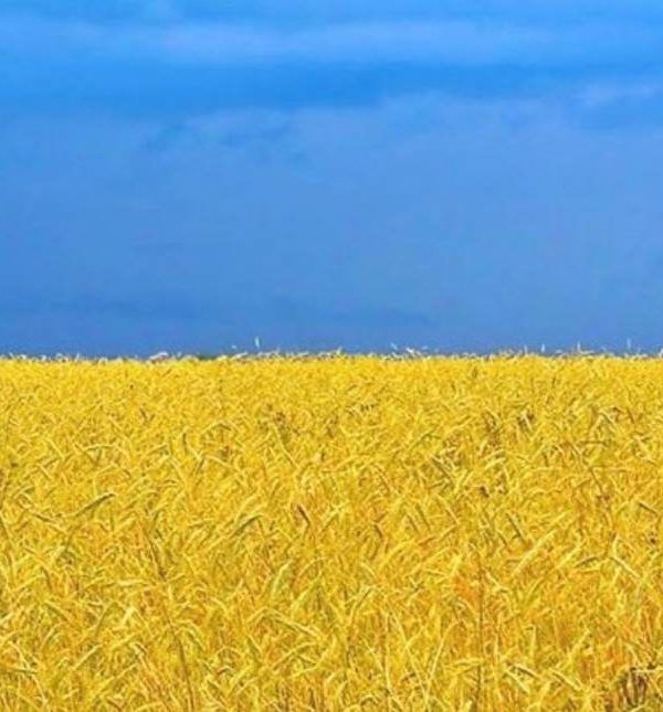 campo ucrania