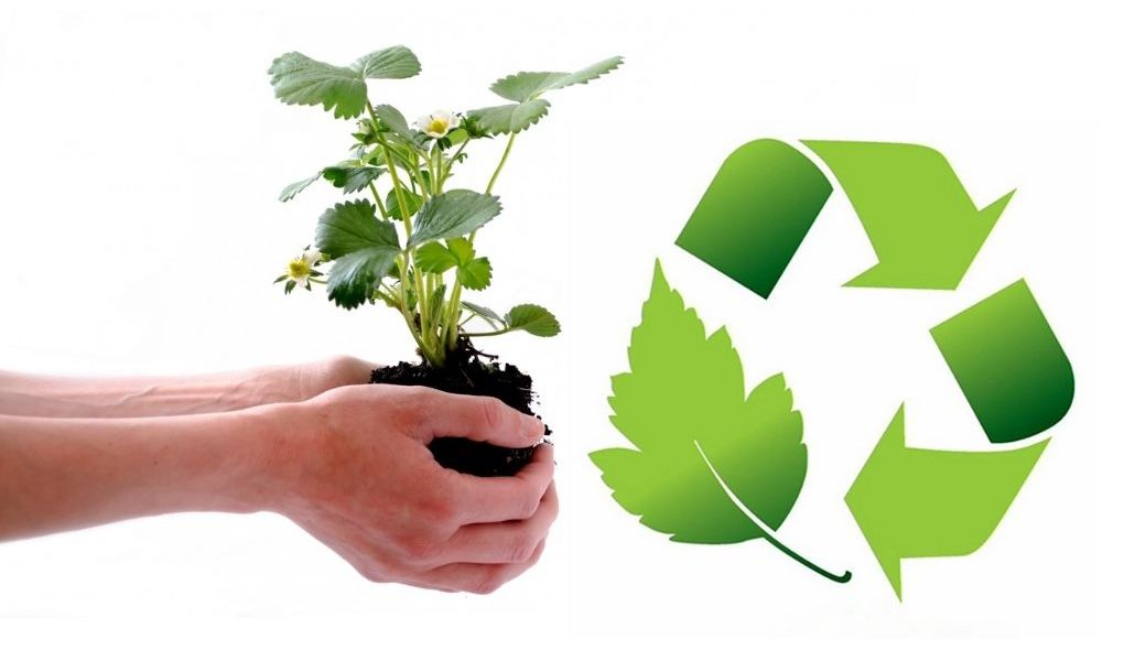 curso gestión ambiental