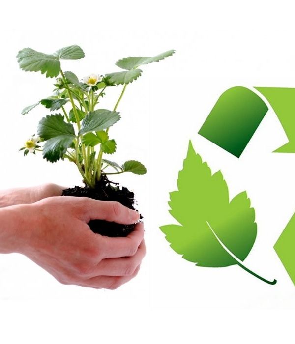 curso gestión ambiental