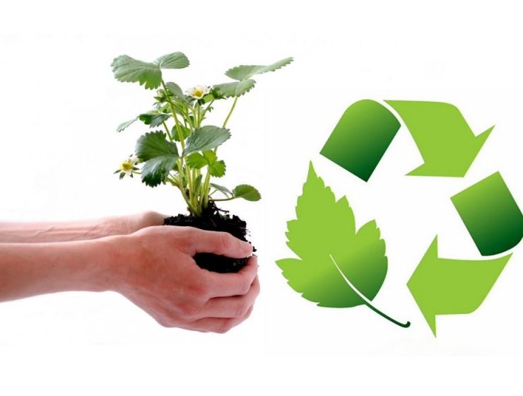 curso gestión ambiental