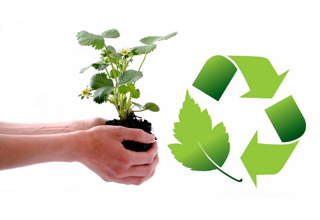 curso gestión ambiental