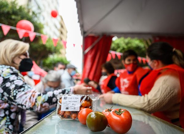 dia tomate