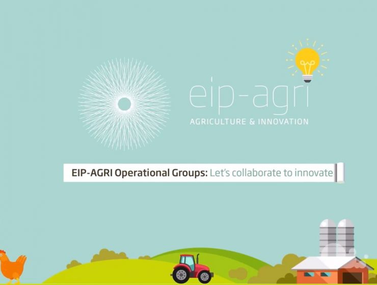 eip agri