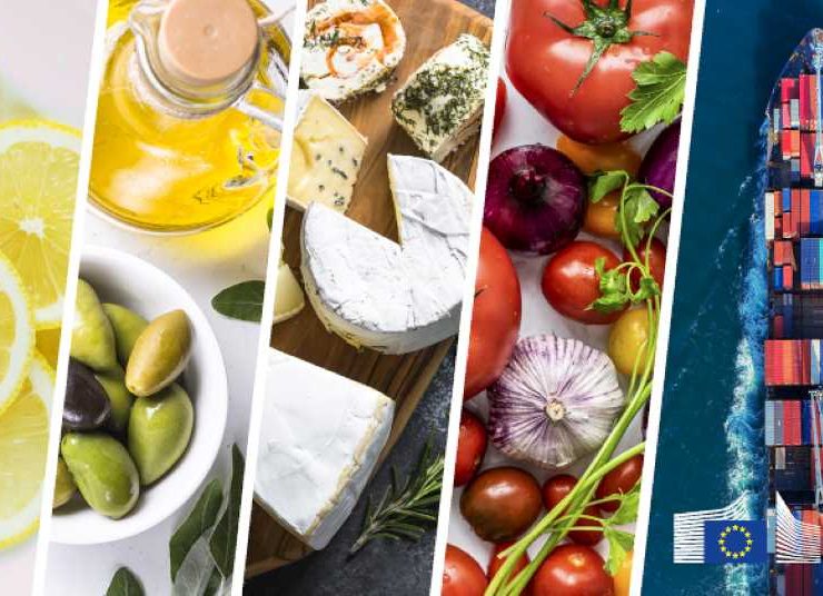 export import agroalimentarias ok