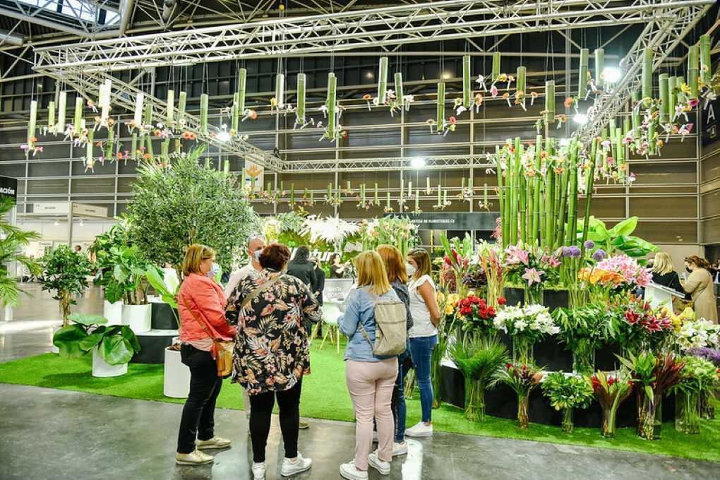 iberflora