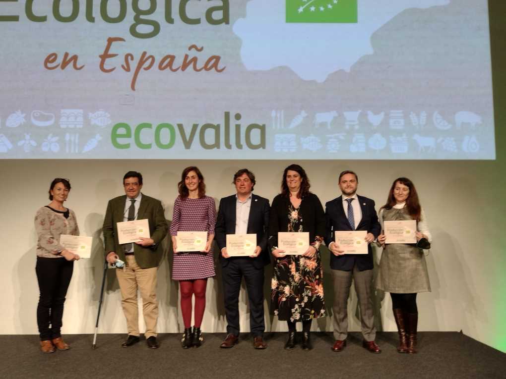 informe ecovalia