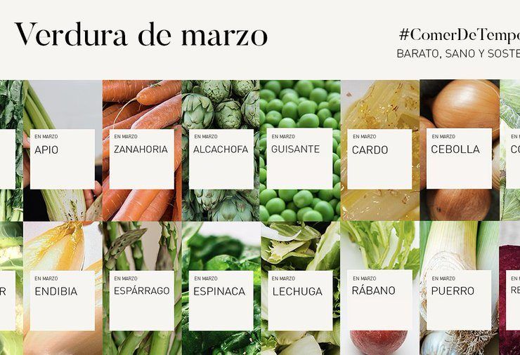 ministerio de consumo