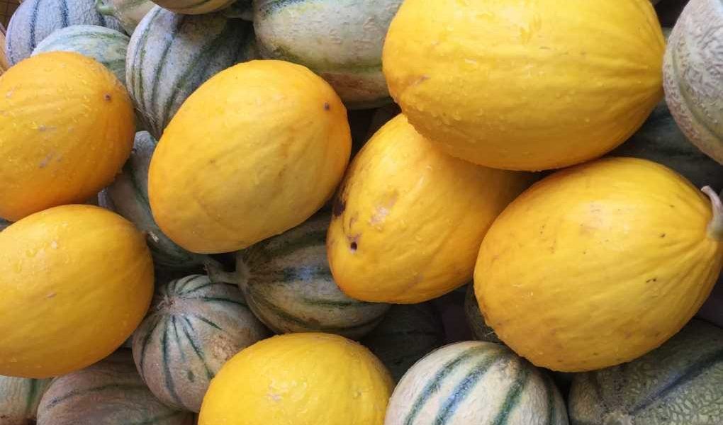 melón marruecos