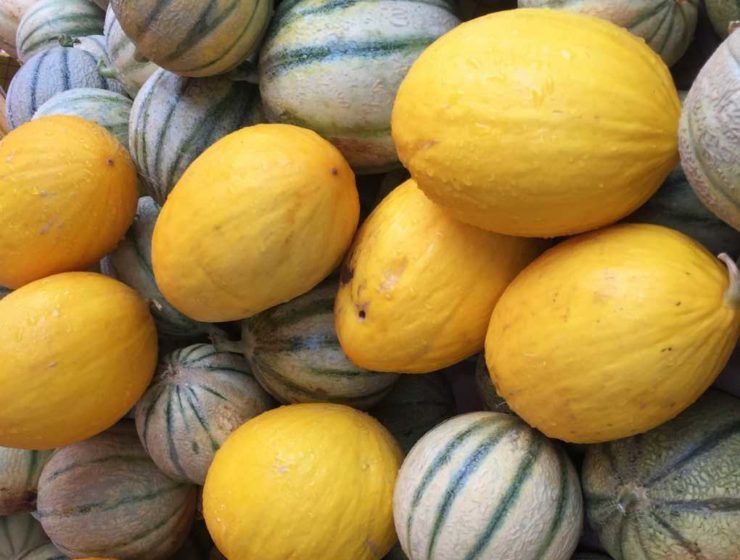 melón marruecos
