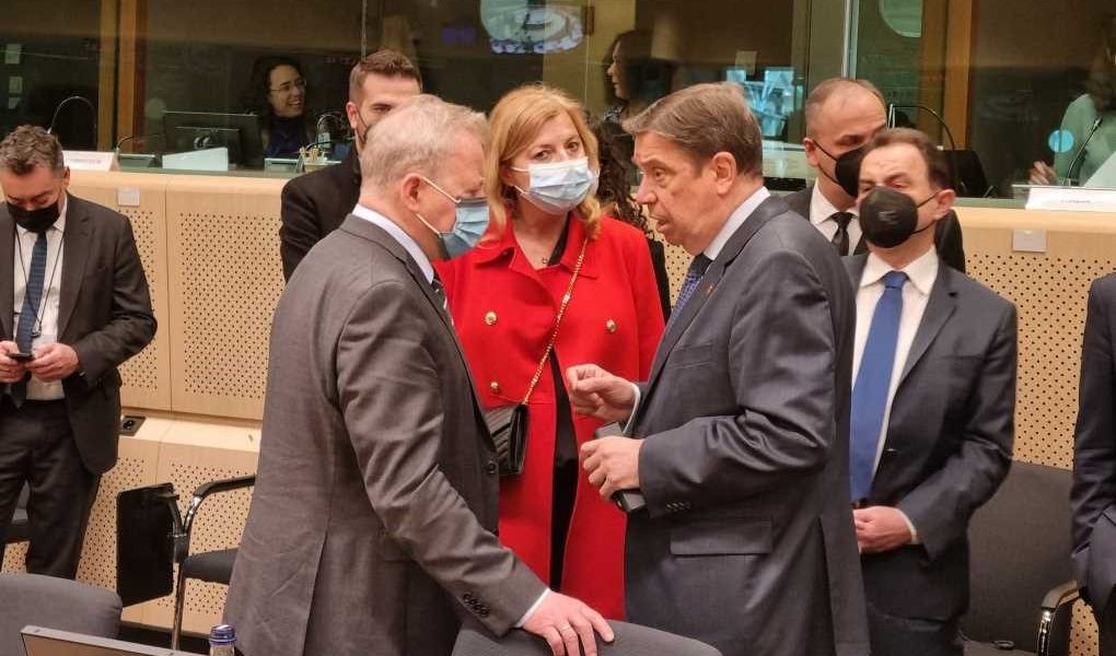ministro consejo minis europa