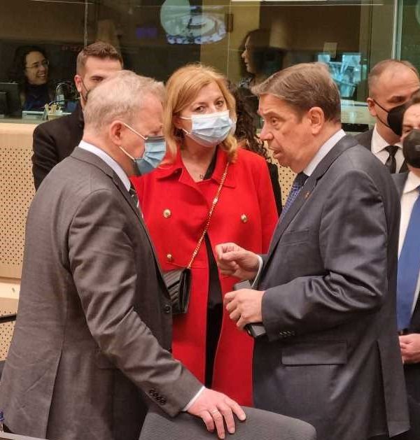 ministro consejo minis europa
