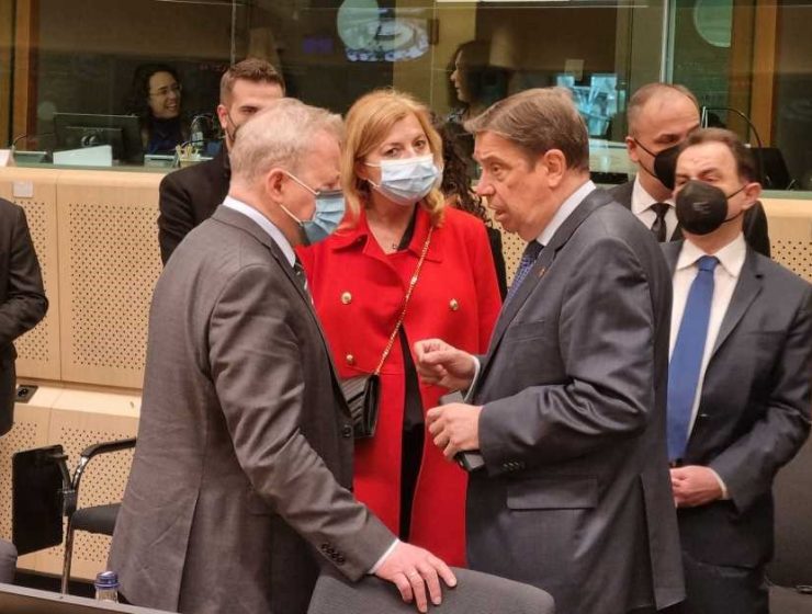 ministro consejo minis europa