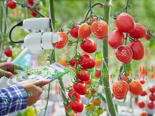 agro i + d