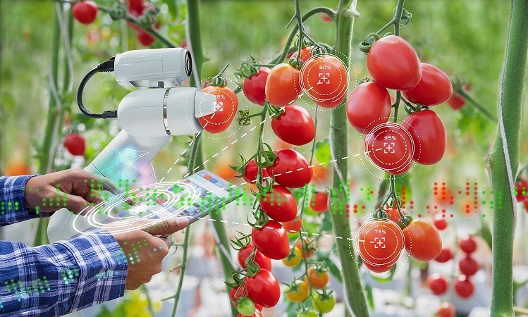 agro i + d
